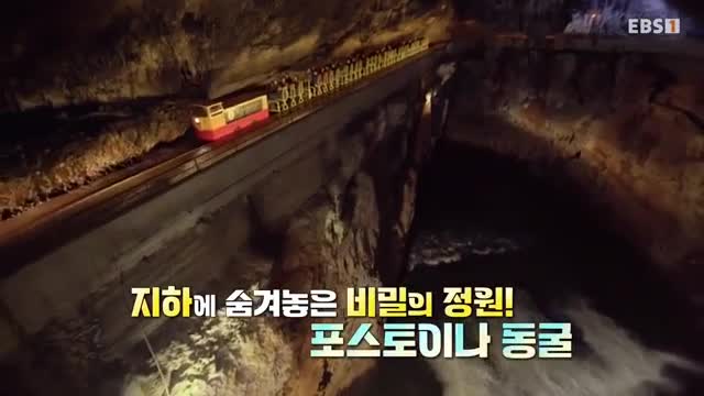 세계테마기행 2025-10-13