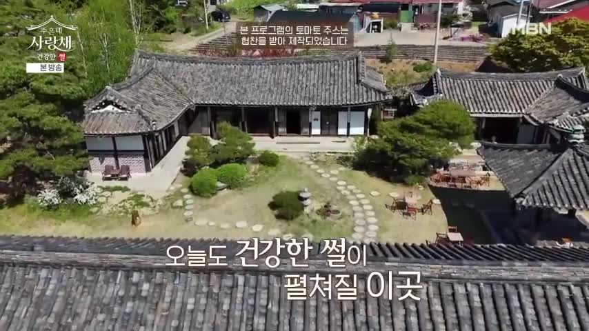 건강한 썰 주은네 사랑채 2026-08-22