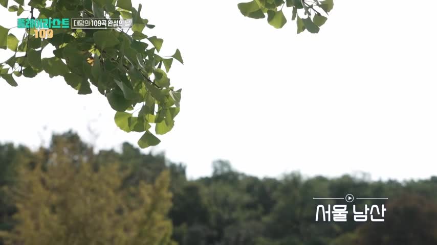 플레이리스트 109 2026-09-08