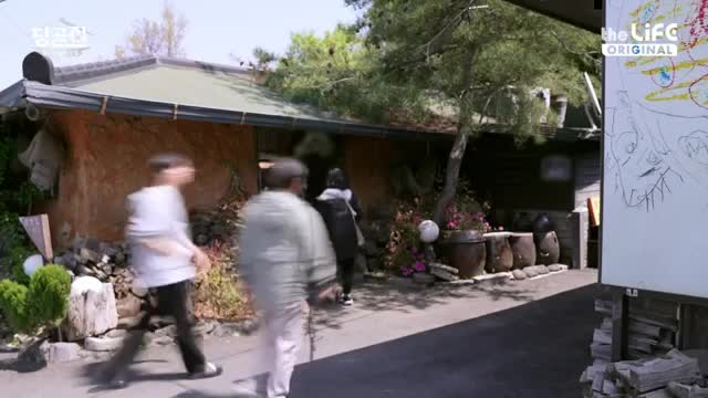 당신의 골목 맛집-당골집 2025-06-10