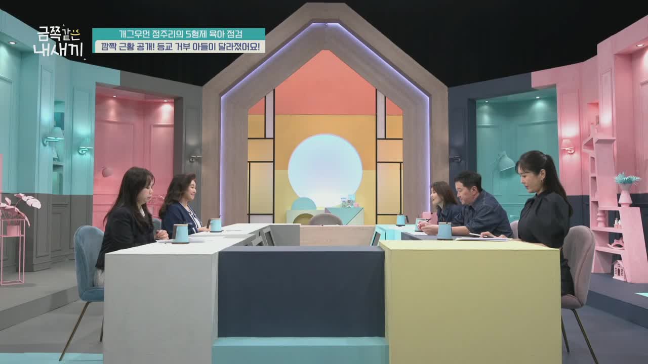 요즘 육아 금쪽같은 내 새끼 제252회