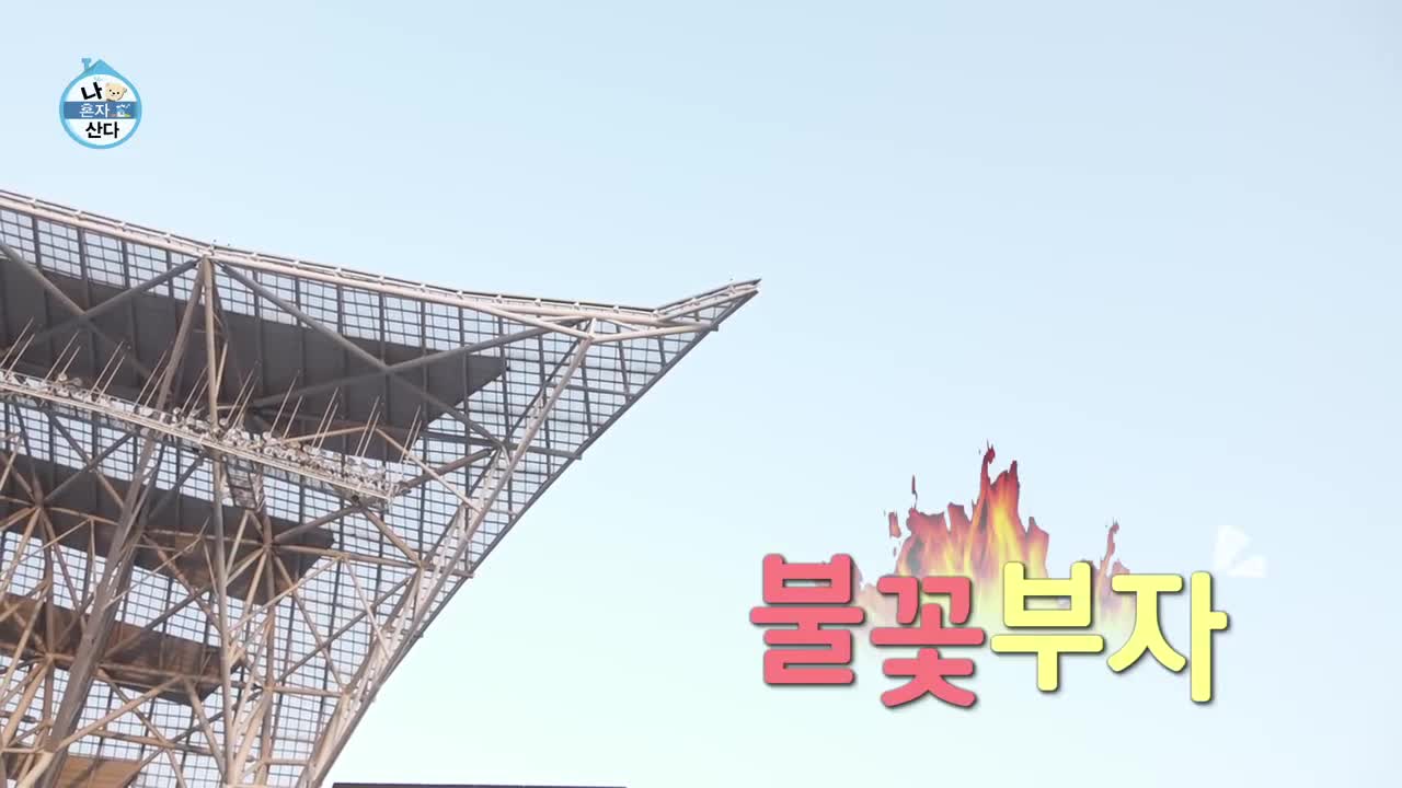 나혼자 산다 제641회
