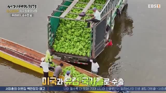 세계테마기행 2025-05-21