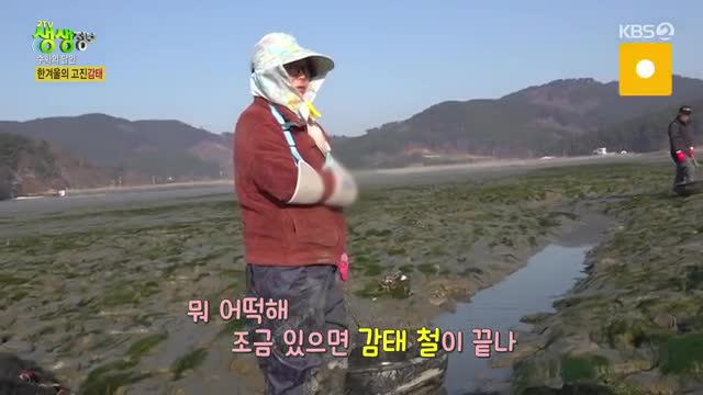 2TV 생생정보 2025-02-14