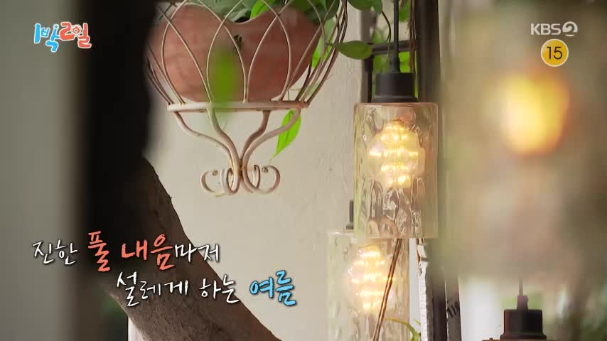 1박 2일 시즌4 제338회 2026-08-02