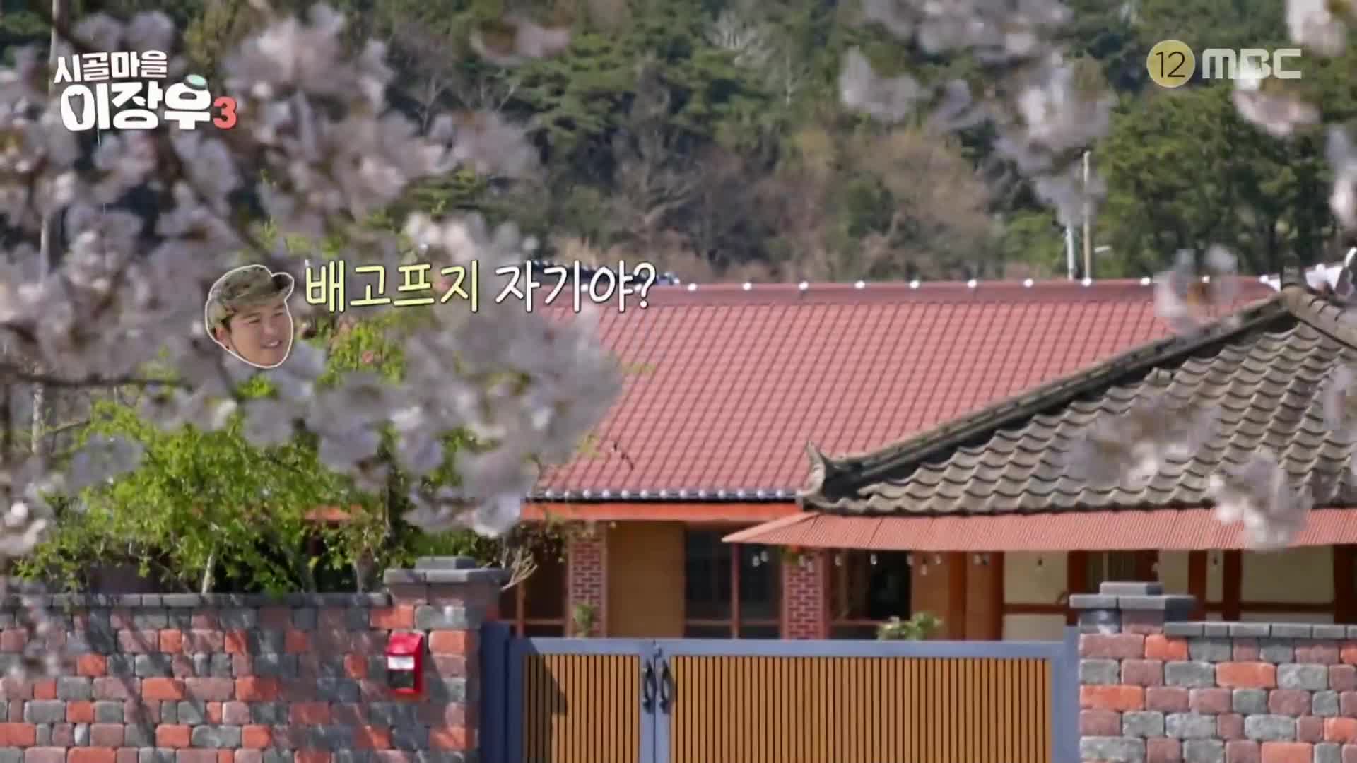 시골마을 이장우3 제3회 2026-05-13