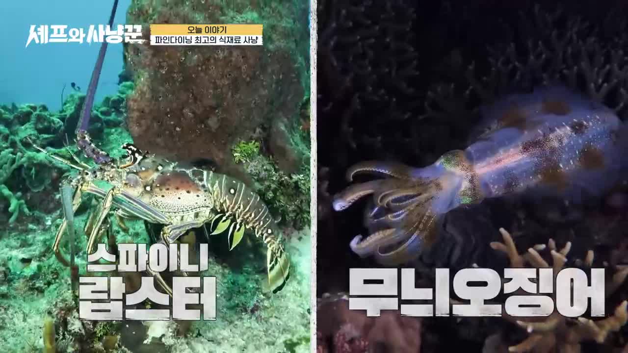 셰프와 사냥꾼 제9회