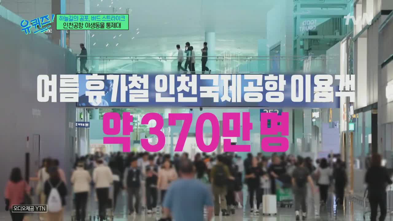 유 퀴즈 온 더 블럭 제306회