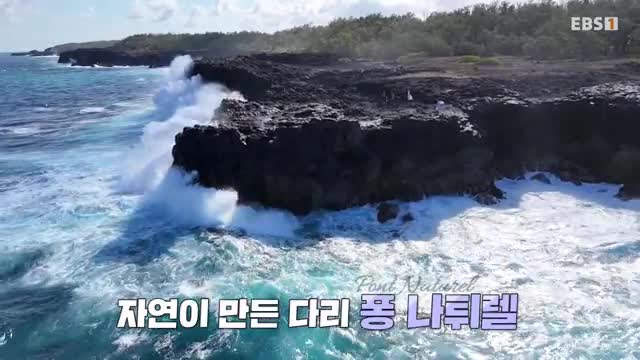 세계테마기행 2025-10-28