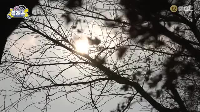 선을 넘는 클래스 2025-03-19