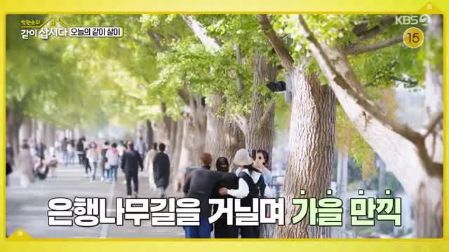 박원숙의 같이 삽시다 3 2025-12-01