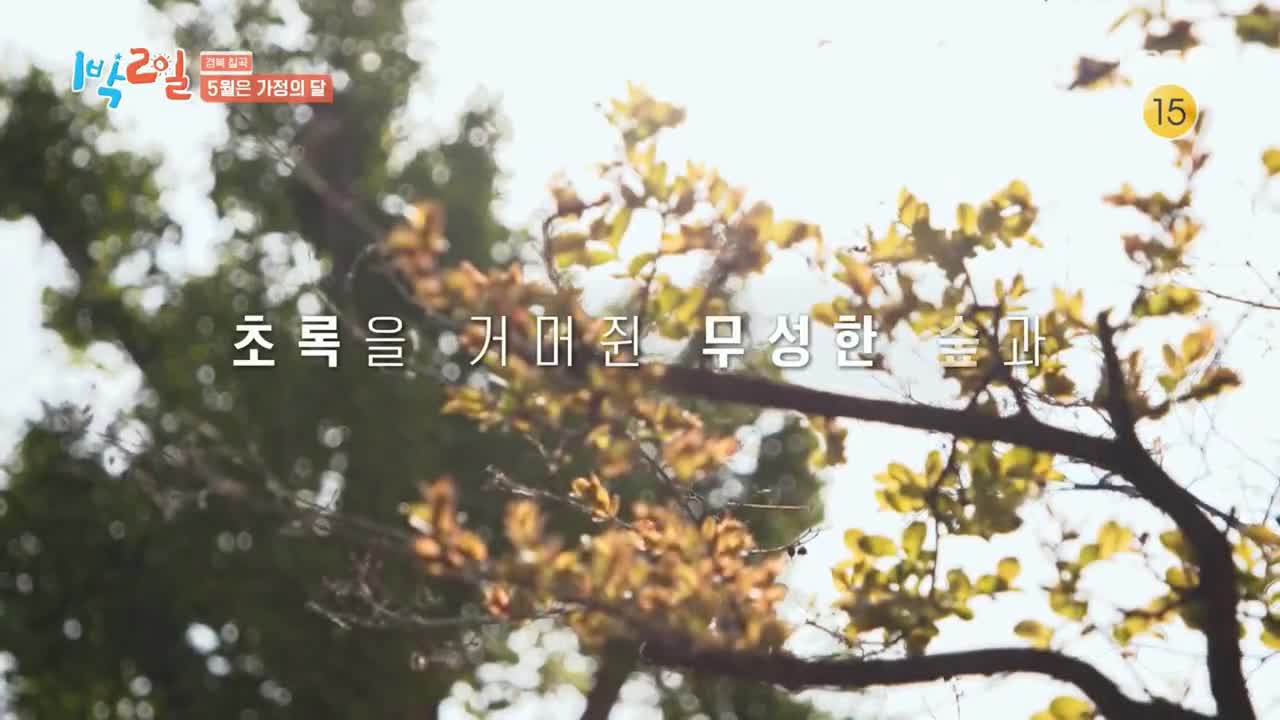 1박 2일 시즌4 제274회 2025-05-11
