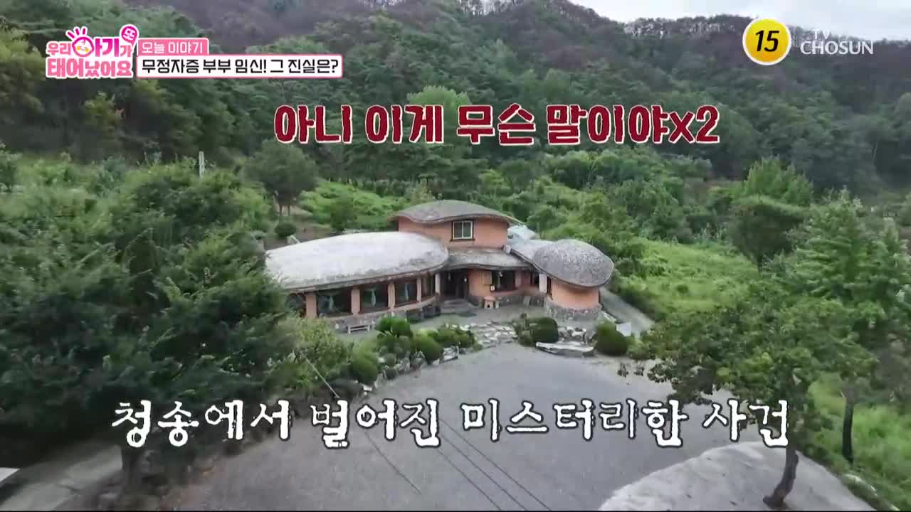 우리 아기가 또 태어났어요 2025-10-21