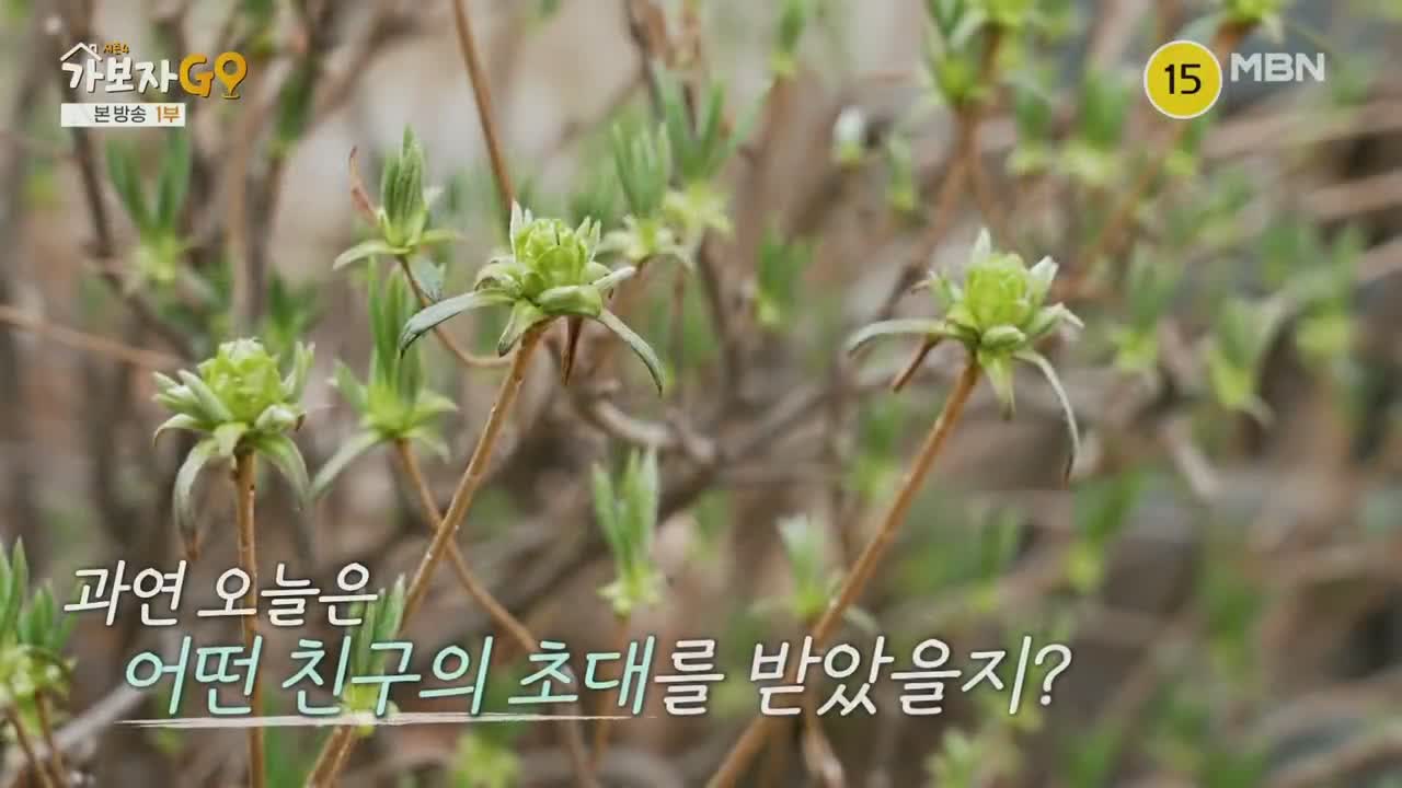 가보자GO 시즌4 제11회 2025-04-20
