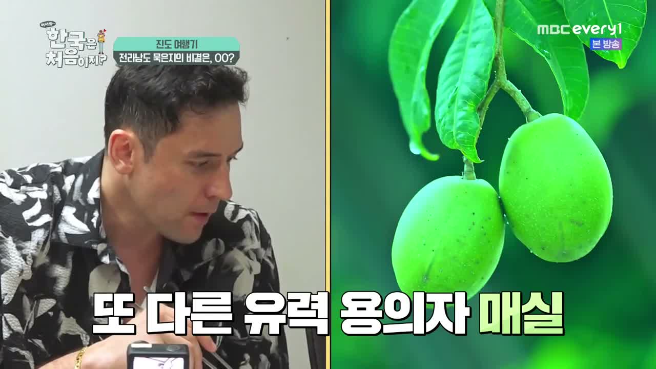 어서와 한국은 처음이지 2 제10회