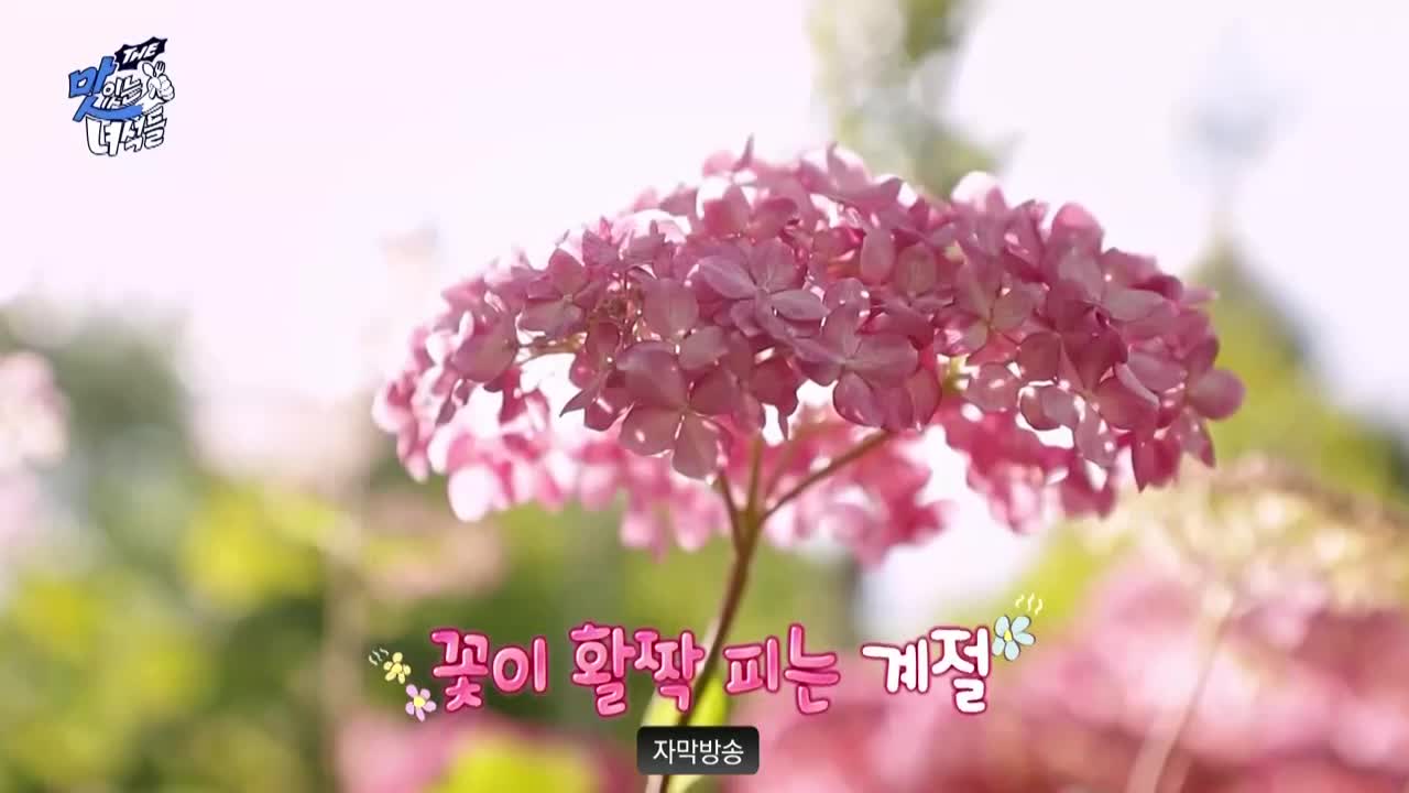 THE 맛있는 녀석들 2025-04-25