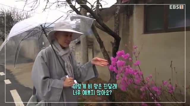 한국기행 2025-05-27