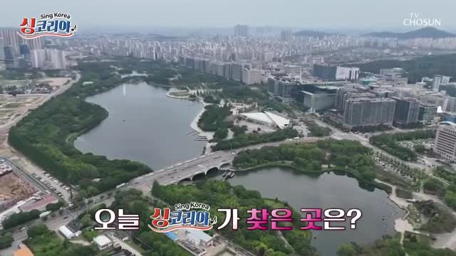 싱코리아 2025-06-01
