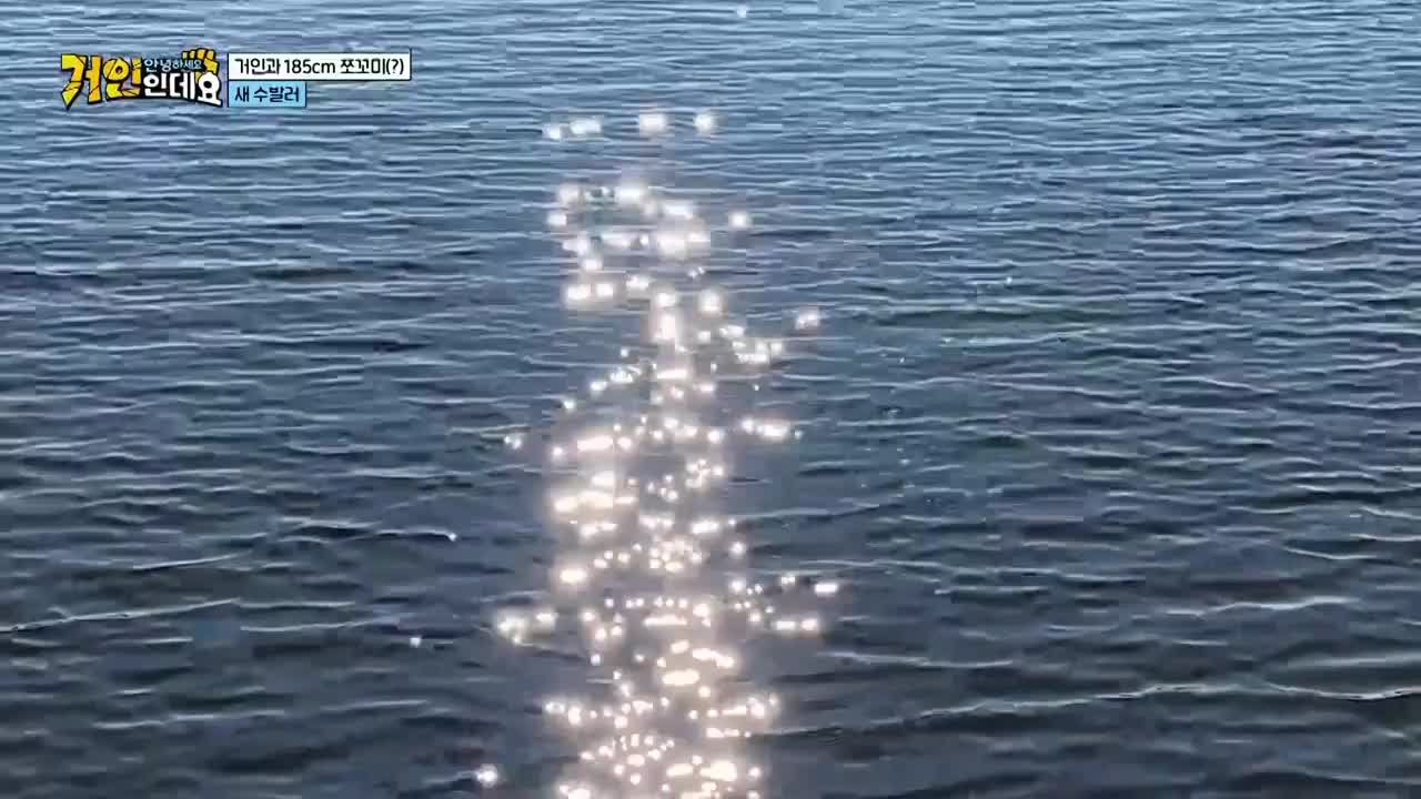 안녕하세요, 거인인데요 2026-07-19