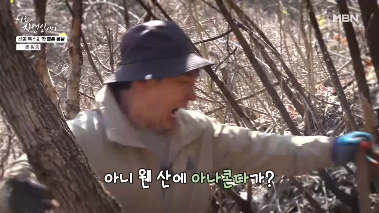 나는 자연인이다 2026-04-13