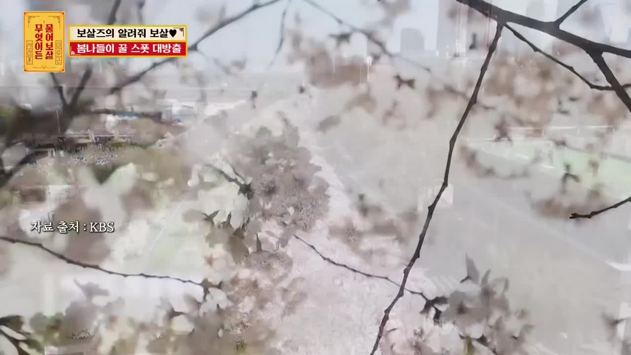 무엇이든 물어보살 2026-03-30
