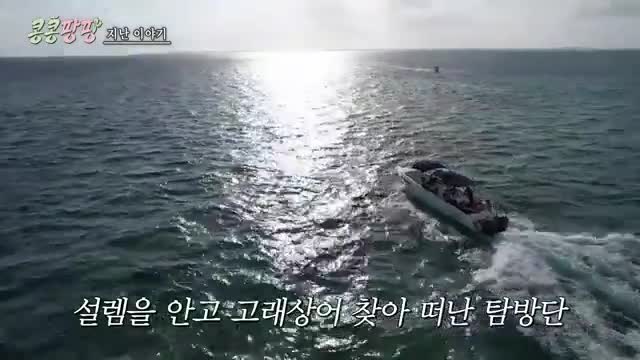 콩콩팡팡 (콩 심은 데 콩 나서 웃음팡 행복팡 해외탐방) 2025-12-05