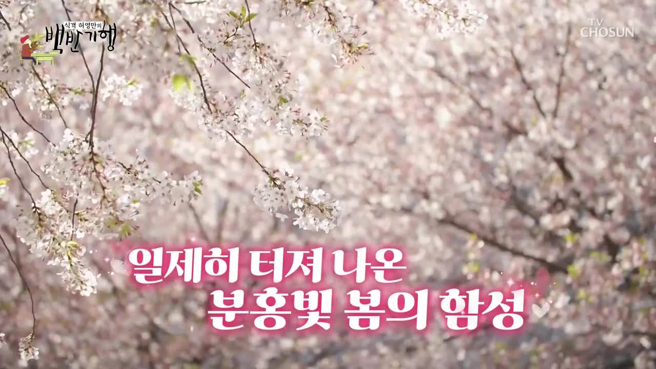 식객 허영만의 백반기행 제343회
