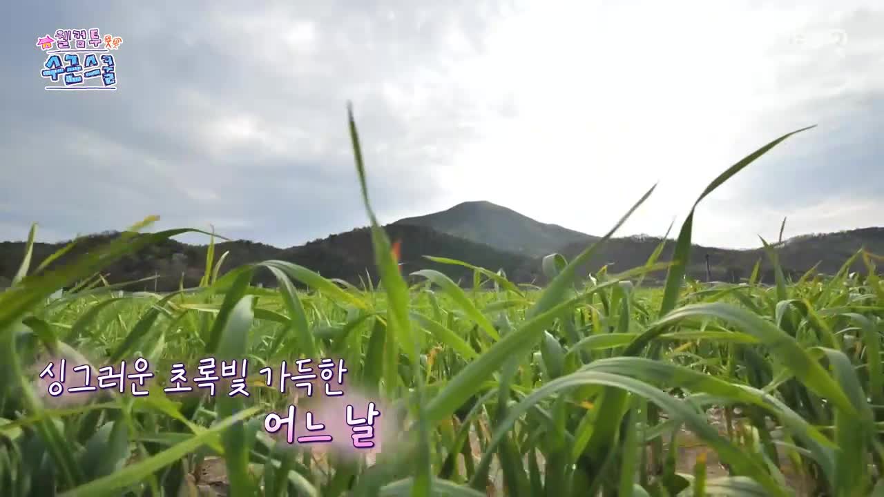 웰컴 투 수근스쿨 제1회