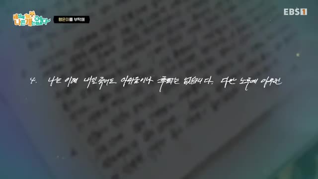 세상에 나쁜 개는 없다 시즌 4 2025-09-27