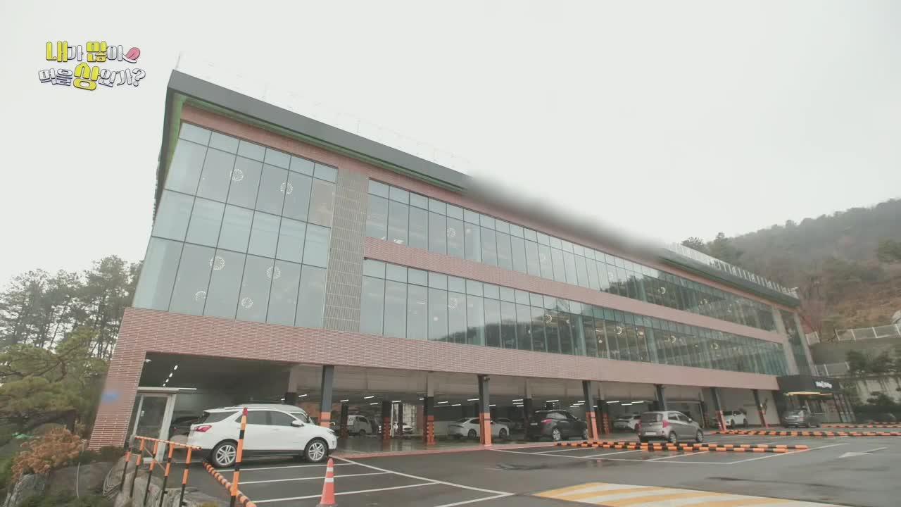 내가 많이 먹을 상인가? 2026-02-15