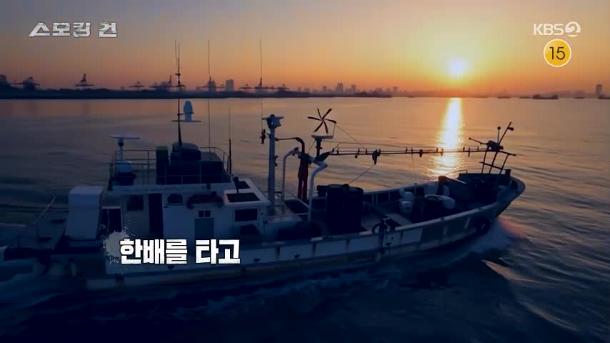 과학수사대 스모킹건 2026-10-06