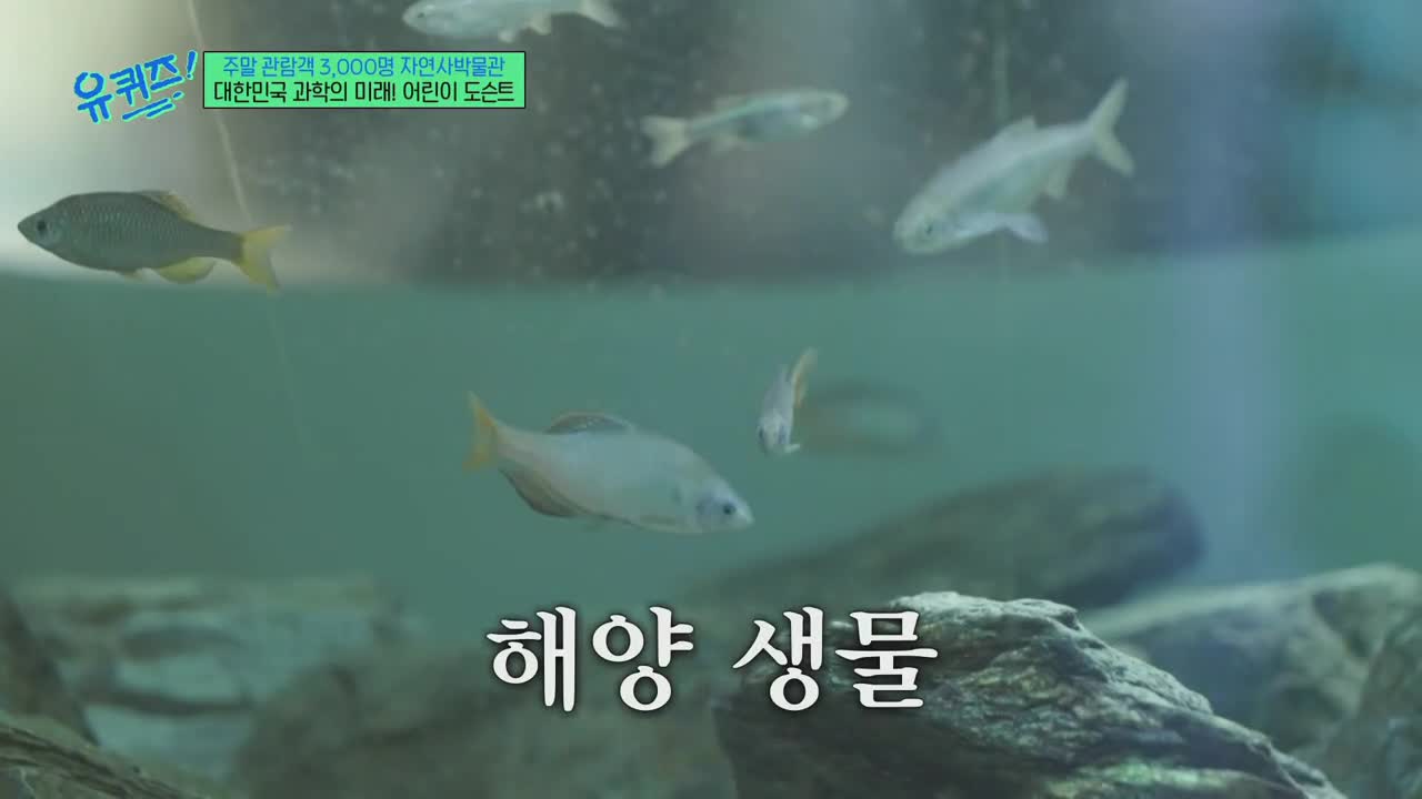 유 퀴즈 온 더 블럭 제312회