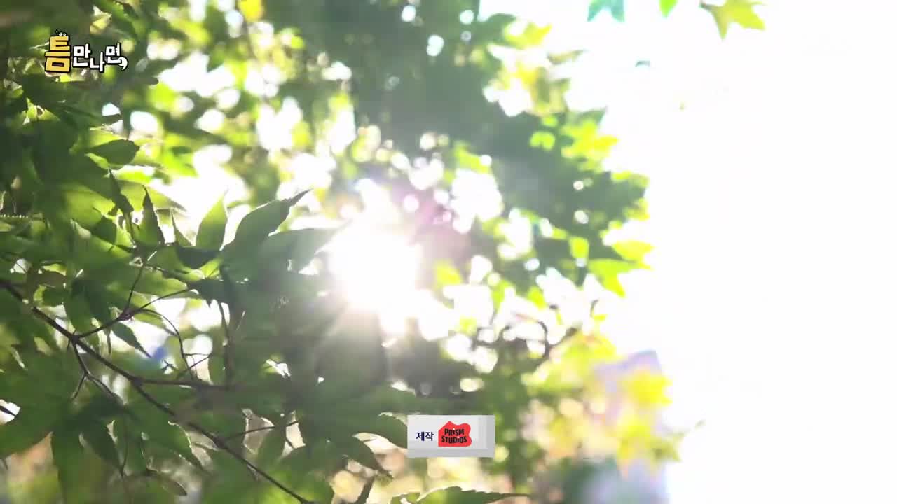 틈만나면 2025-08-12