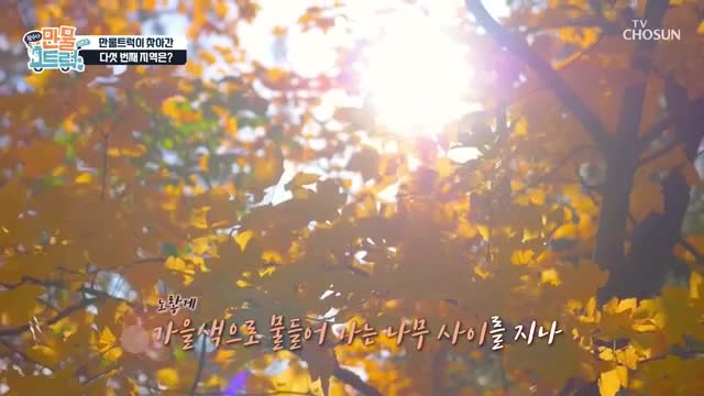 왔수다 만물트럭 시즌2 제6회 2025-11-02