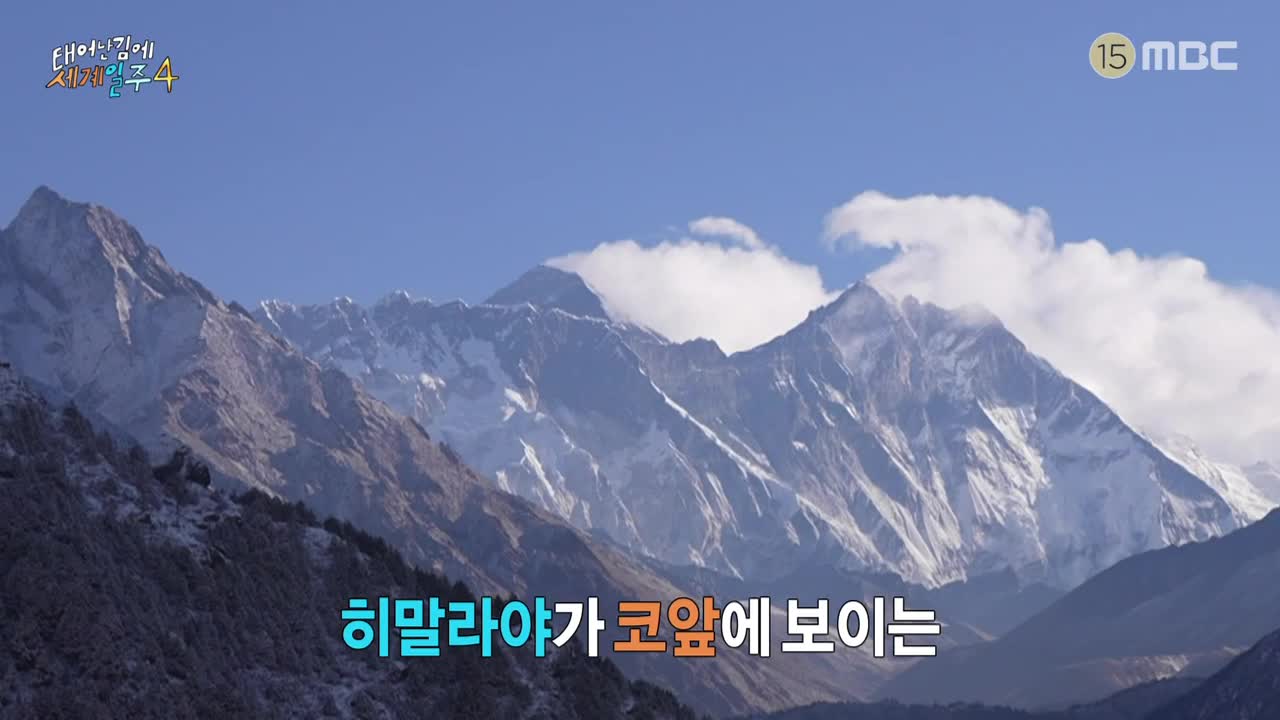 태어난 김에 세계일주4 (태계일주4) 2025-06-08