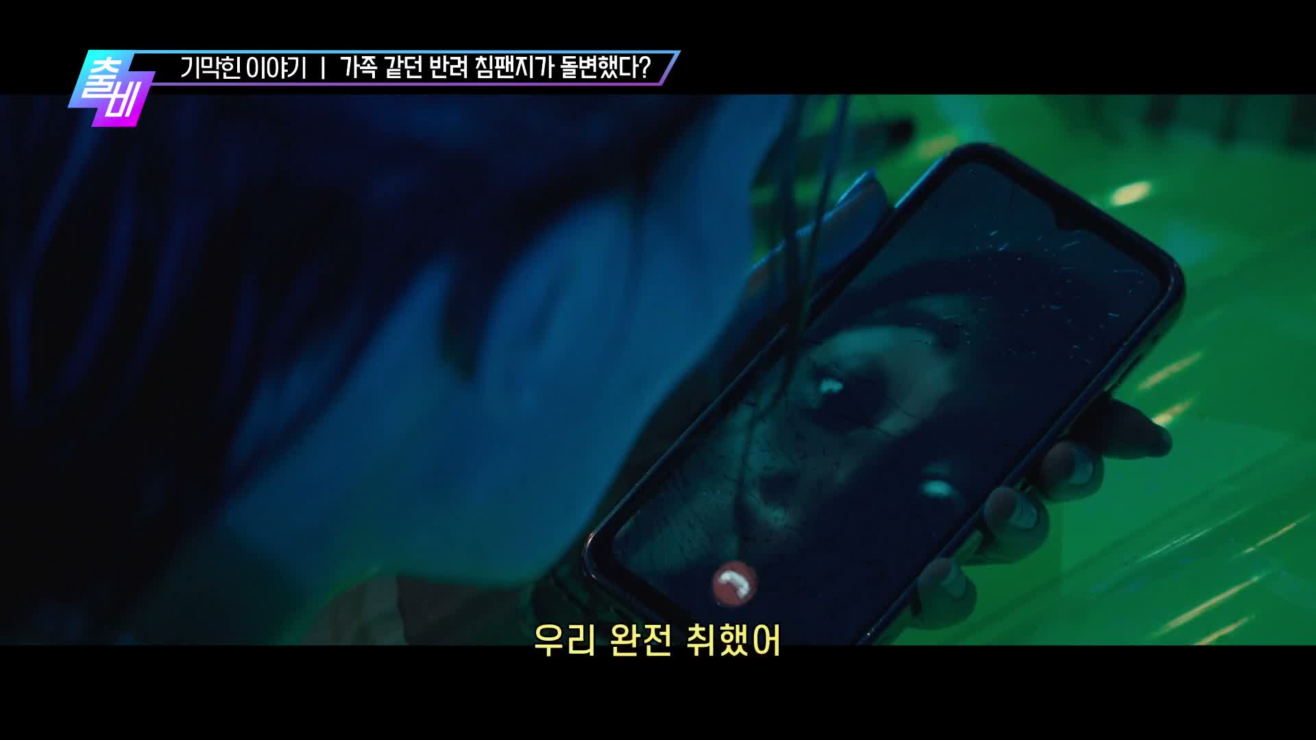 출발 비디오여행 제8회