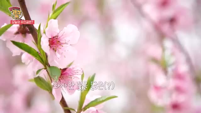 <불편해도 괜찮아> 시즌7 2025-05-24