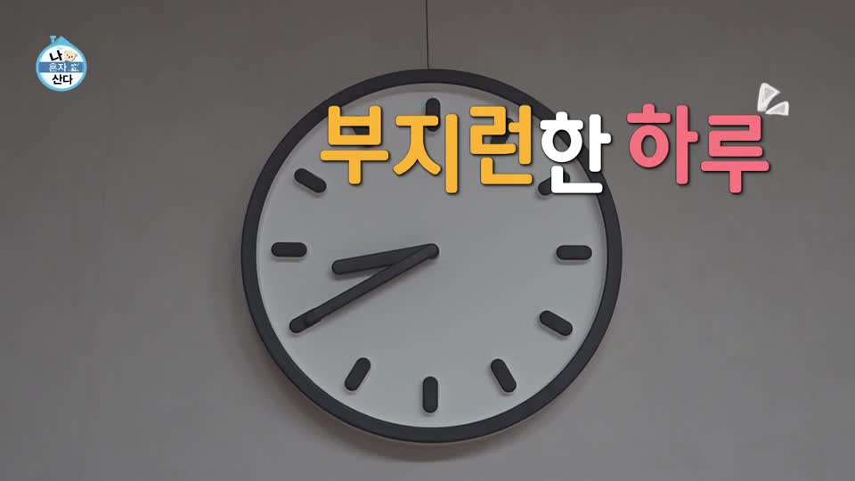 나혼자 산다 제668회 2026-10-09