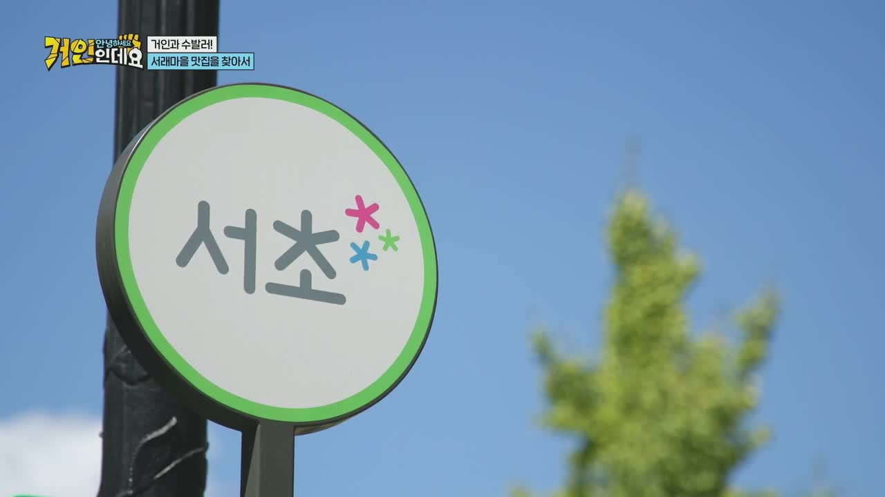 안녕하세요, 거인인데요 2026-08-23