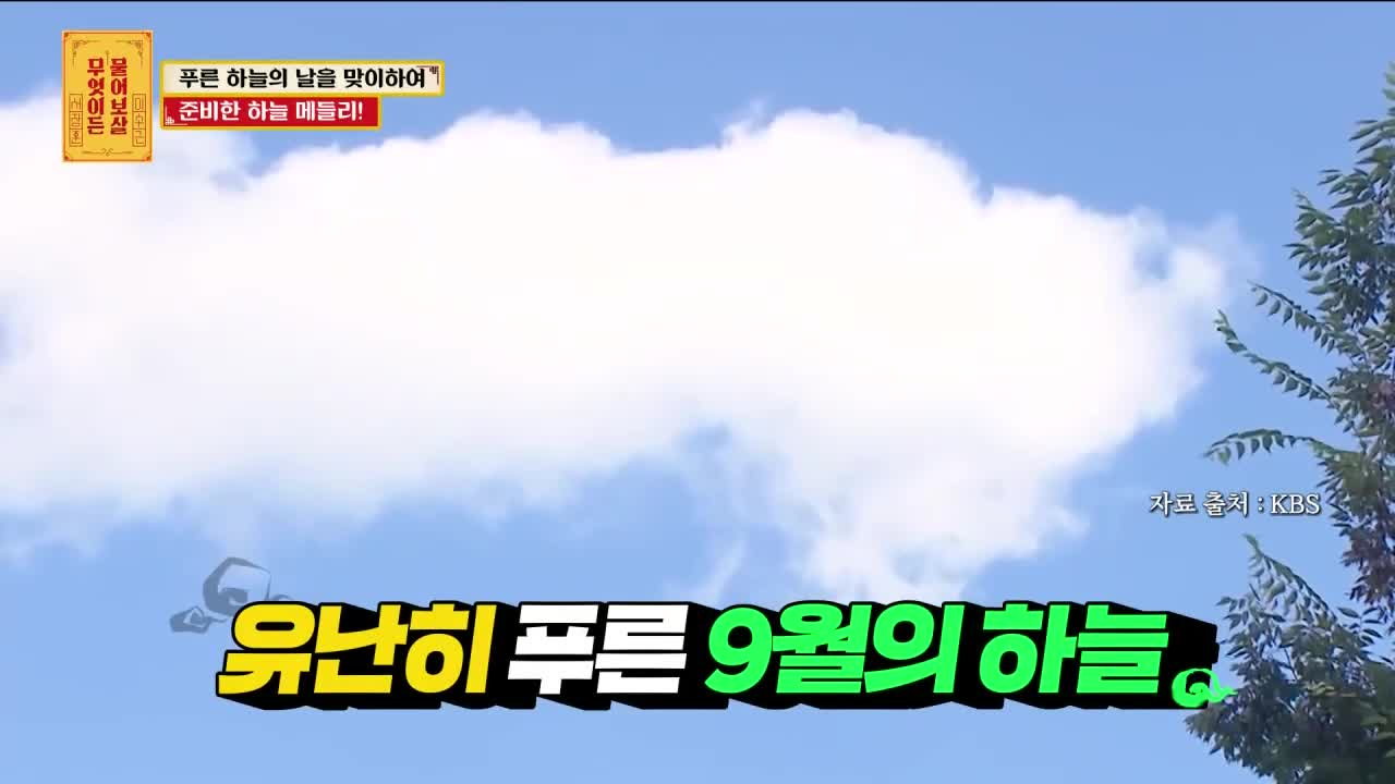 무엇이든 물어보살 2026-09-07