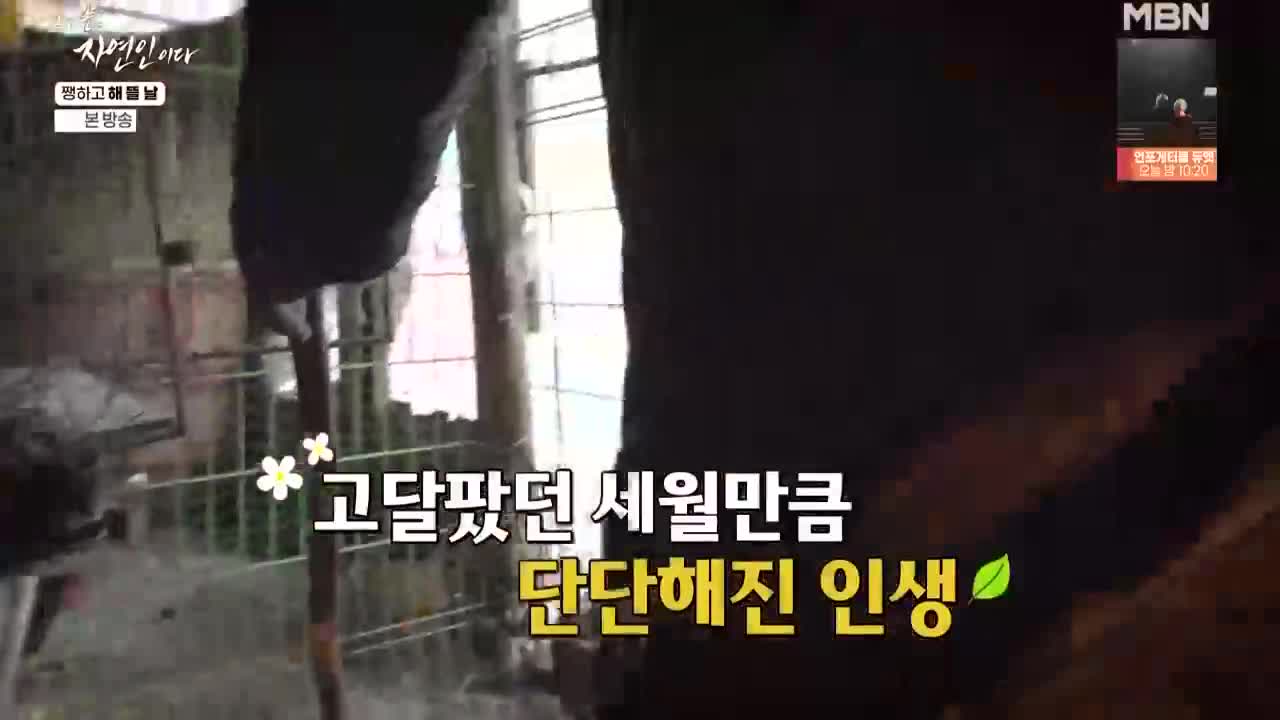 나는 자연인이다 제688회