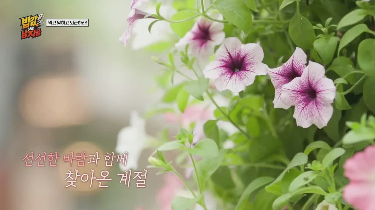 밥값하는 남자들 2026-10-04