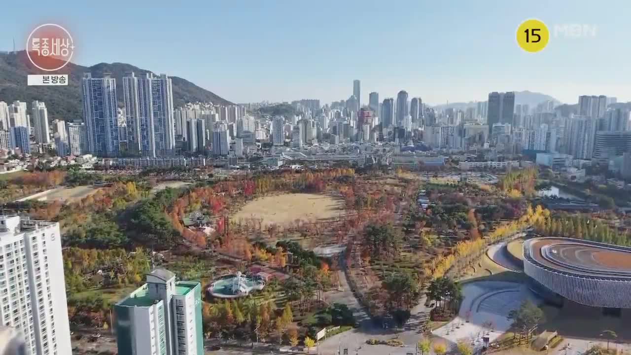특종세상 2025-11-27
