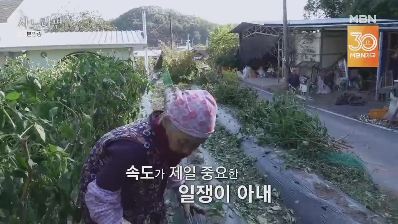휴먼다큐 사노라면 2025-11-23