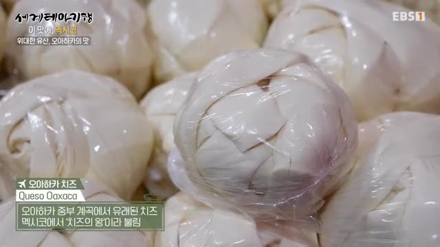 세계테마기행 2025-02-26