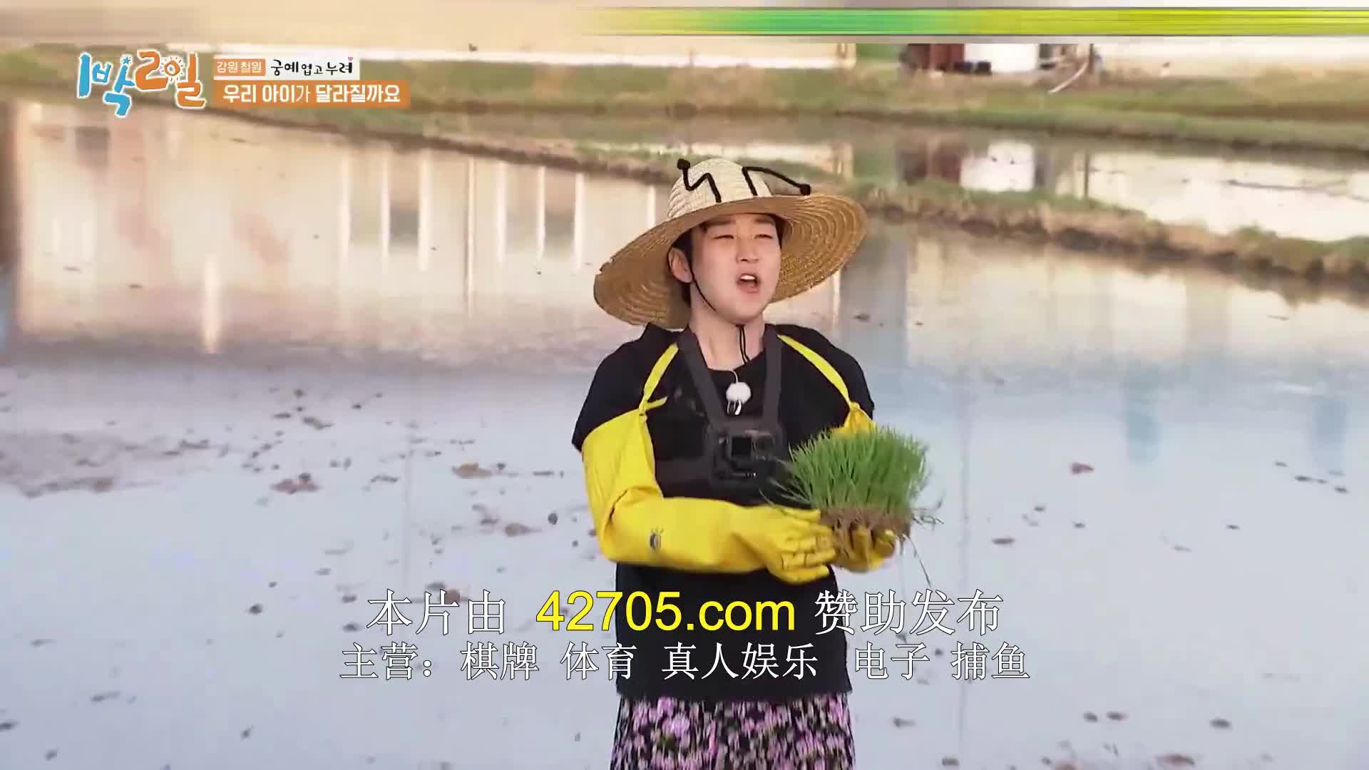 1박 2일 시즌4 제230회 2024-06-09