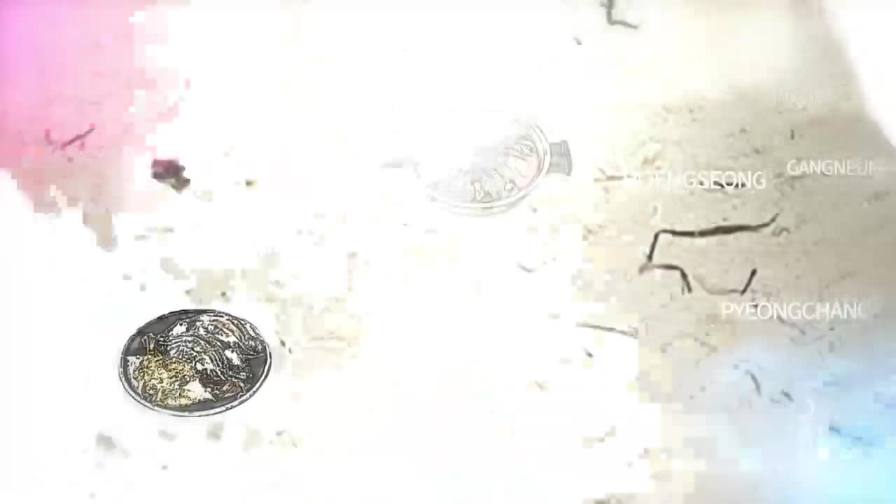 한국인의 밥상 2026-03-19