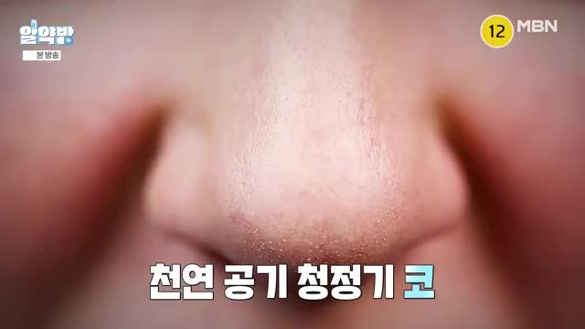 알약방 2025-05-22