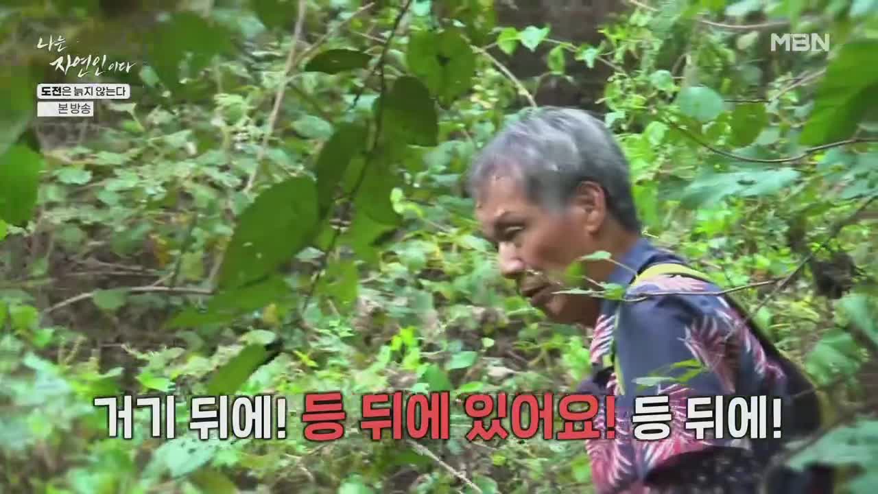 나는 자연인이다 제675회