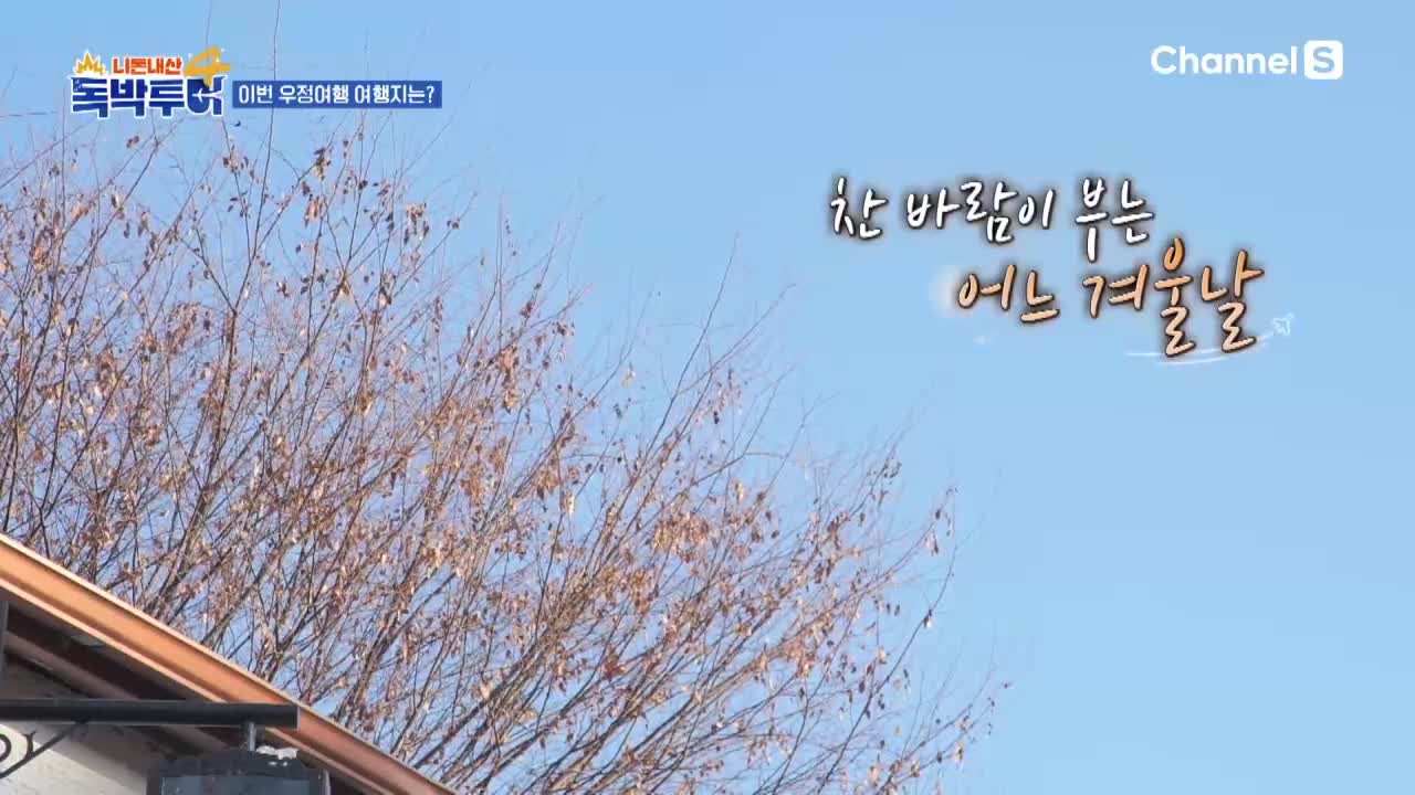 니돈내산 독박투어4 제39회 2026-02-28